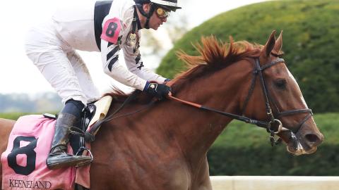 RAGING SEA - 10-20-23