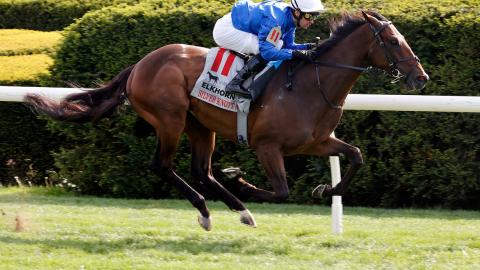 SilverKnottElkhorn4-20-24