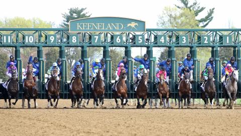 The Toyota Blue Grass G1 - 99th Running - 04-08-23