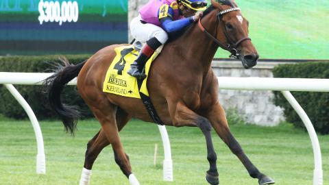 WAR LIKE GODDESS - The Bewitch G3 - 61st Running - 04-28-23