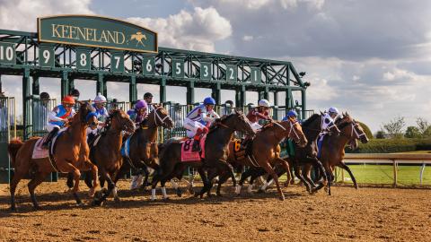 stonestreet lexington