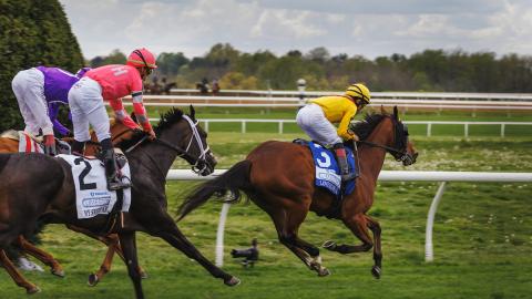 FanDuel Limestone 2023