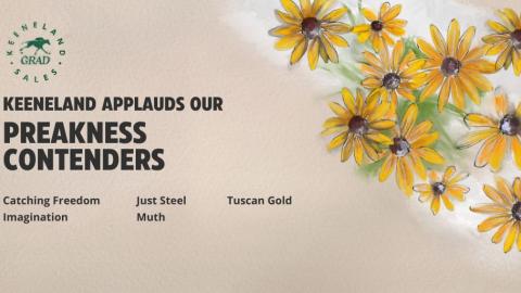 Preakness contenders