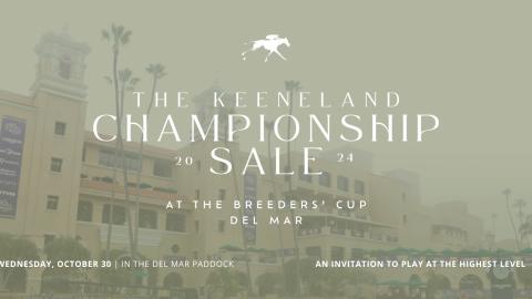 Championship Sale 