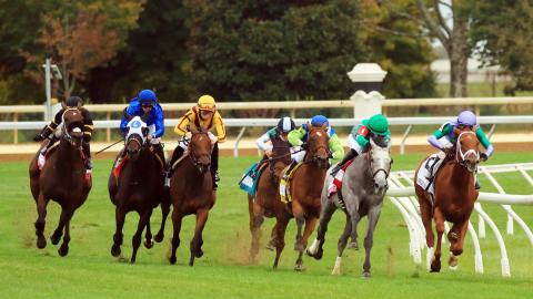 Queen Elizabeth Challenge Cup