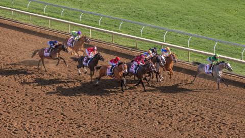 2024 toyota blue grass