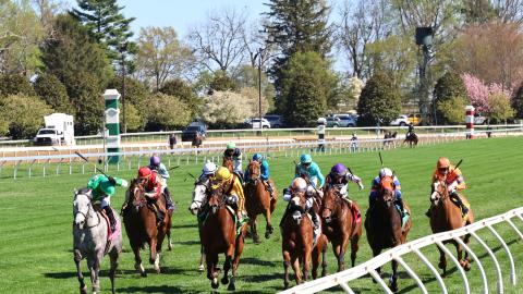 The Giant's Causeway