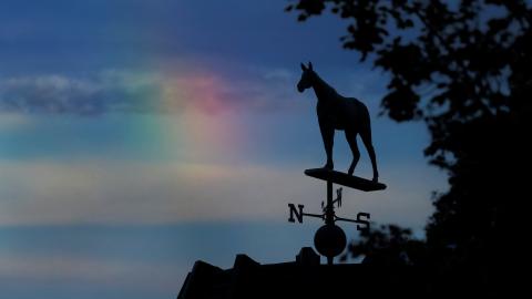 Keeneland weathervane