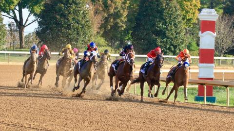 horse racing