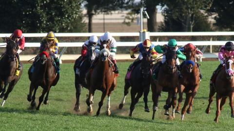horse racing