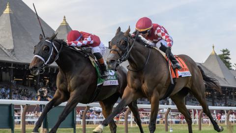 Fionn at the belmmont oaks