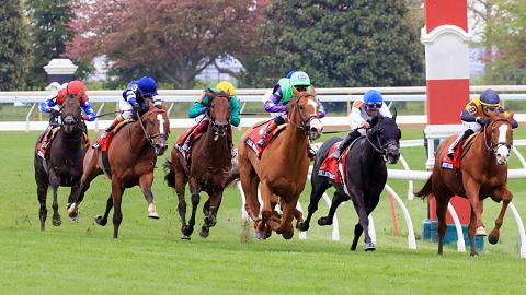 Maker's Mark Mile race