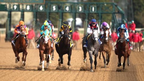 Toyota Blue Grass G1