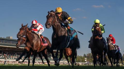 coolmore turf mile