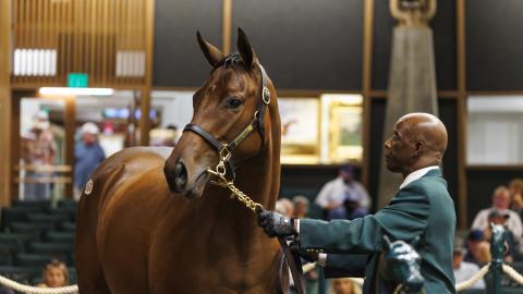 september yearling sale