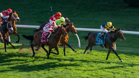 turf mile