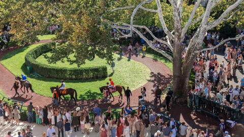 fall meet