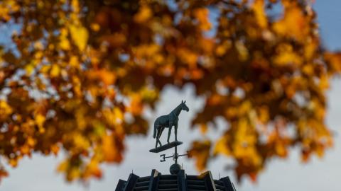 weathervane