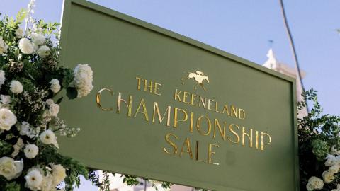 championship sale
