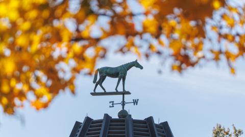 weathervane