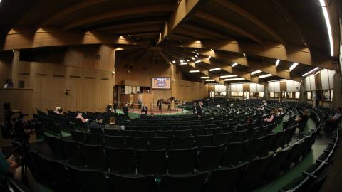 Keeneland sales ring