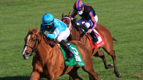 Uni wins the First Lady