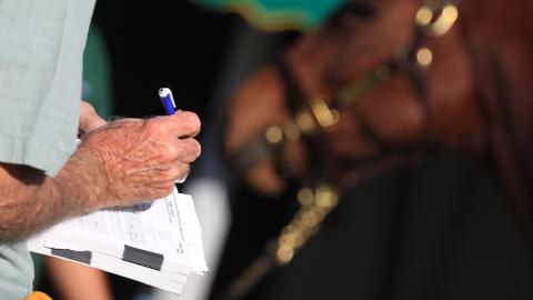 Keeneland November Sale