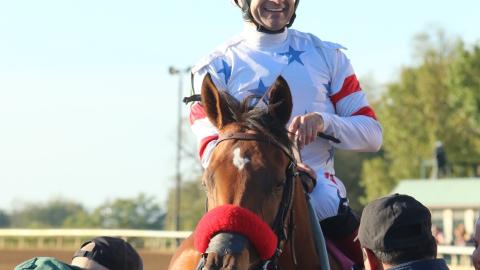 Lady Prancealot (IRE)