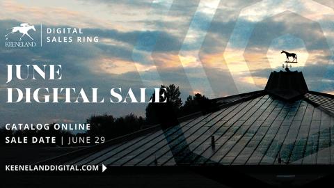 June Digital Sale