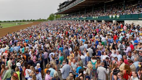 Spring racing and crowd