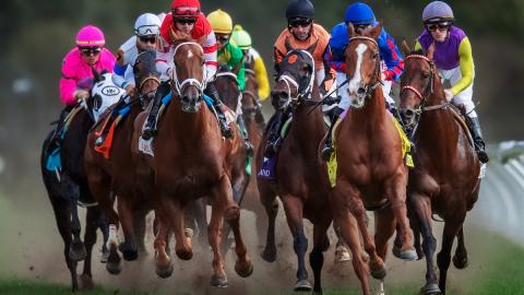 Turf race at Keeneland