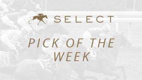 Select Pick of the Week