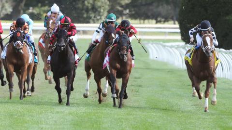 Leinster wins the Woodford (G2) presented by TVG