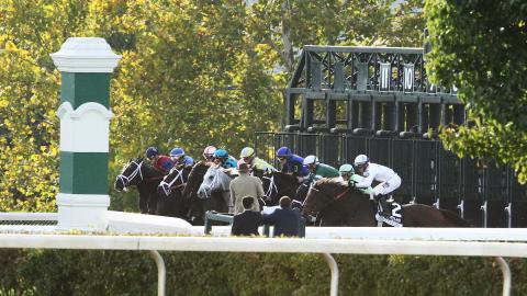 The Lexus Raven Run (G2)