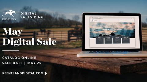 May Digital Sale