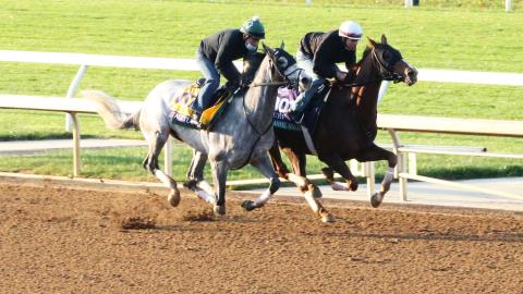 Tacitus and Channel Maker