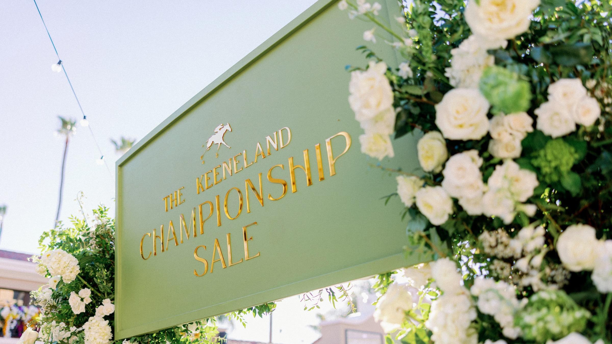 Sale Image