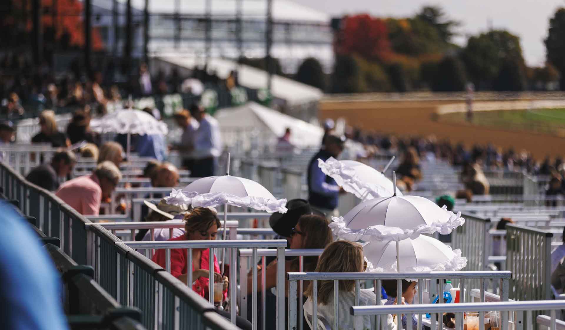 Keeneland guests seated in loge boxes